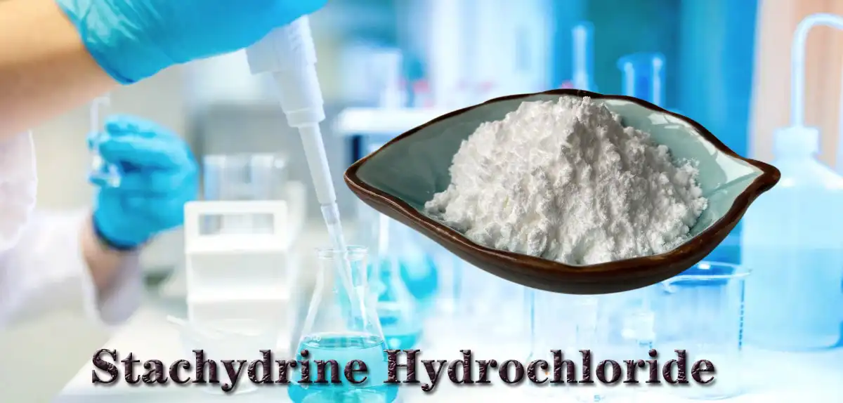 Stachydrine Hydrochloride Saler.jpg